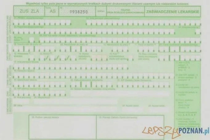Kiedy pracodawca może sprawdzić l4 i jakie ma do tego prawo