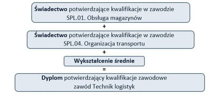 Kwalifikacje zawodowe w kwestionariuszu – co wpisać, by wyróżnić się przed pracodawcą