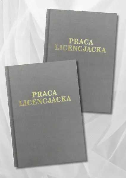 Elementy streszczenia pracy dyplomowej