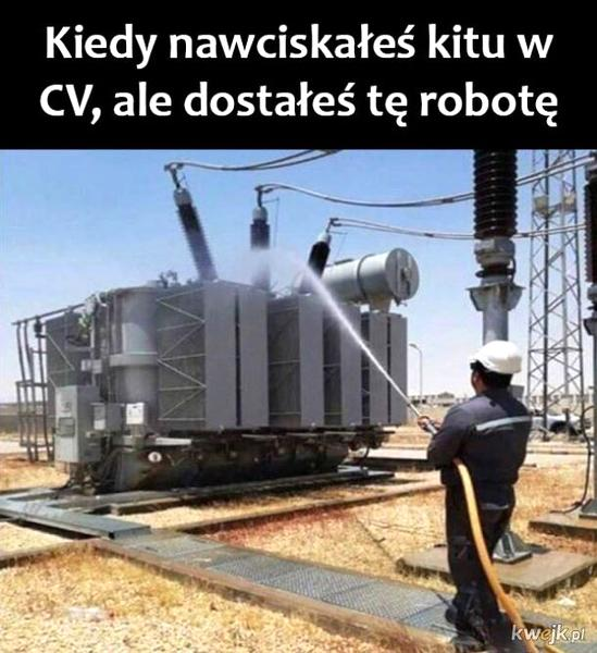 Konsekwencje kłamstwa w CV