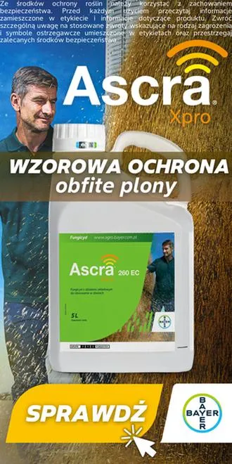 Oferty pracy na wsi