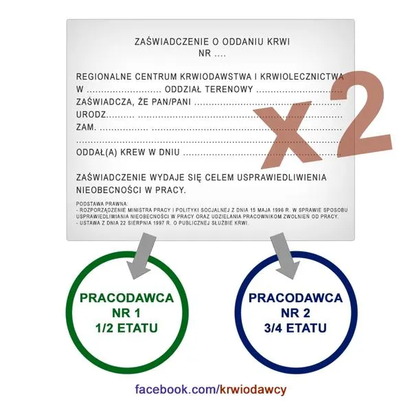 Praca dyplomowa