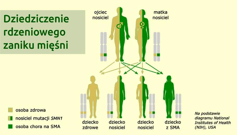 Procedura wypłaty wynagrodzenia
