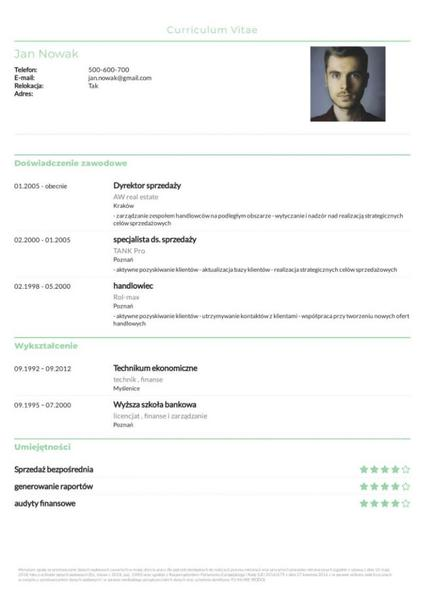 Profesjonalne CV
