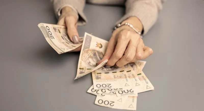 Składniki wynagrodzenia i wpływ