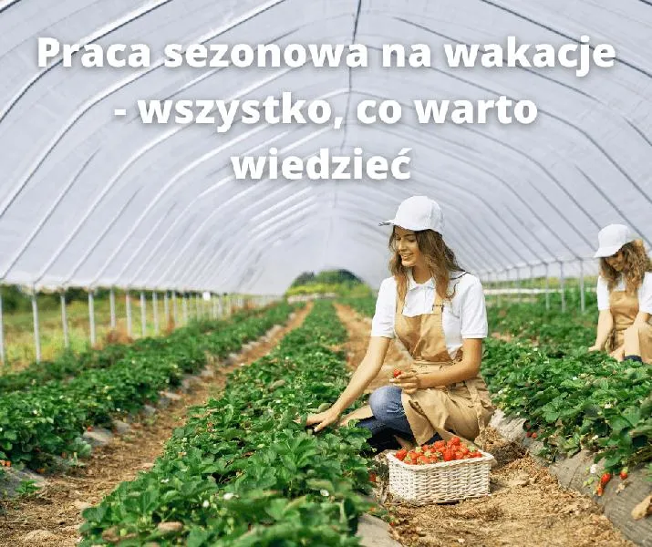 Skuteczne szukanie pracy