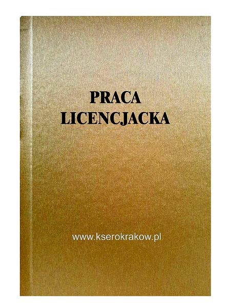 Wstęp pracy licencjackiej